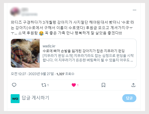 유기견 후원 지푸라기 펀딩 트위터 발견